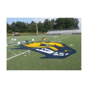 Football field paint aerosol paint colors.