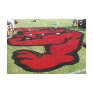 Bright colors aerosol football logo stencil paint.