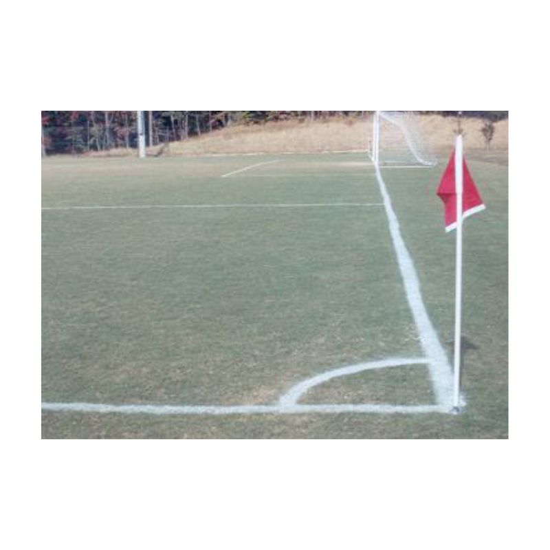 Soccer field marking aerosol white paint.