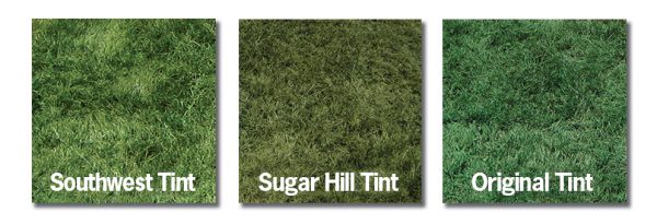 Three Green Grass Colorant Options