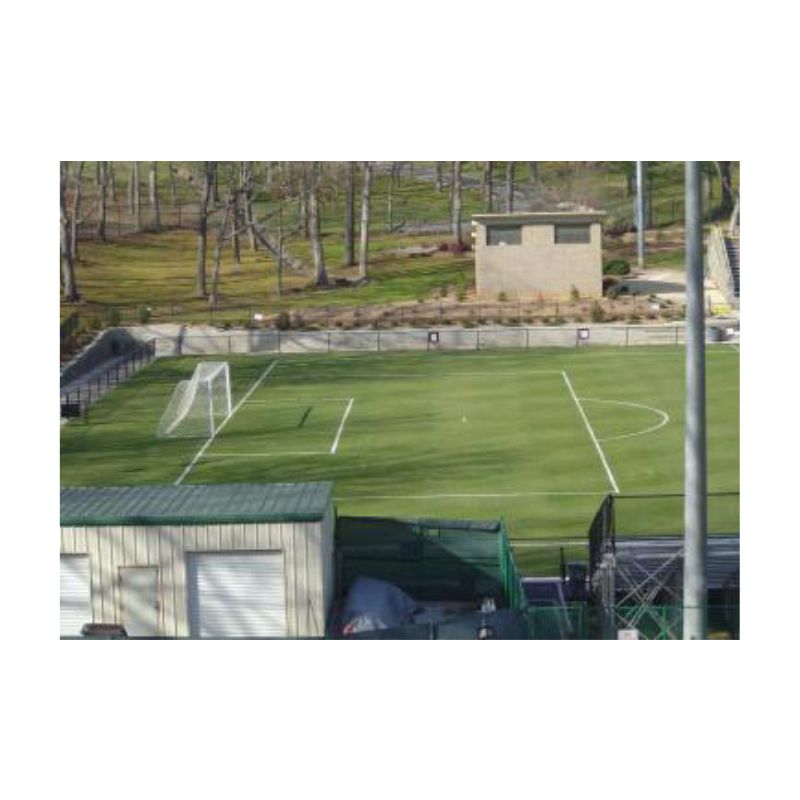 Soccer field marking painting