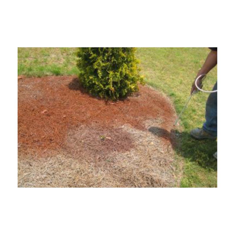 Landscaped Garden Bed With Mulch And Small Tree At Center