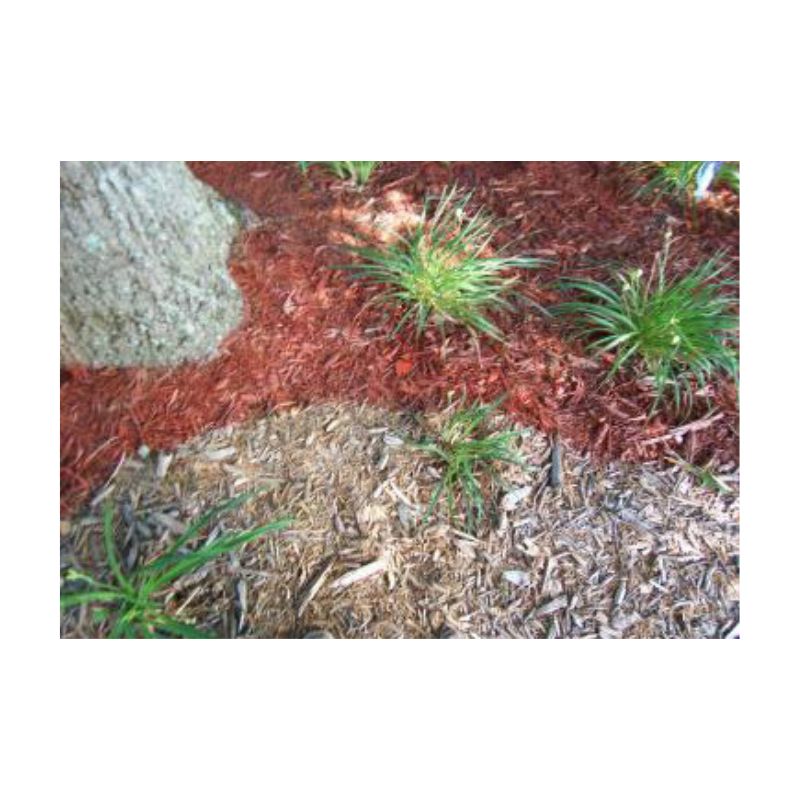 Landscaping With Red Mulch And Small Plants