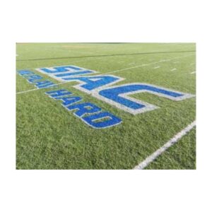 Temporary painted logo on synthetic turf that can be removed later.