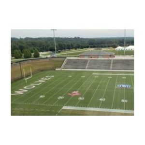 Green Pigment Dye For Grass Football Field Painted Green Turf Paint.