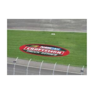 Grass field paint bright colors.