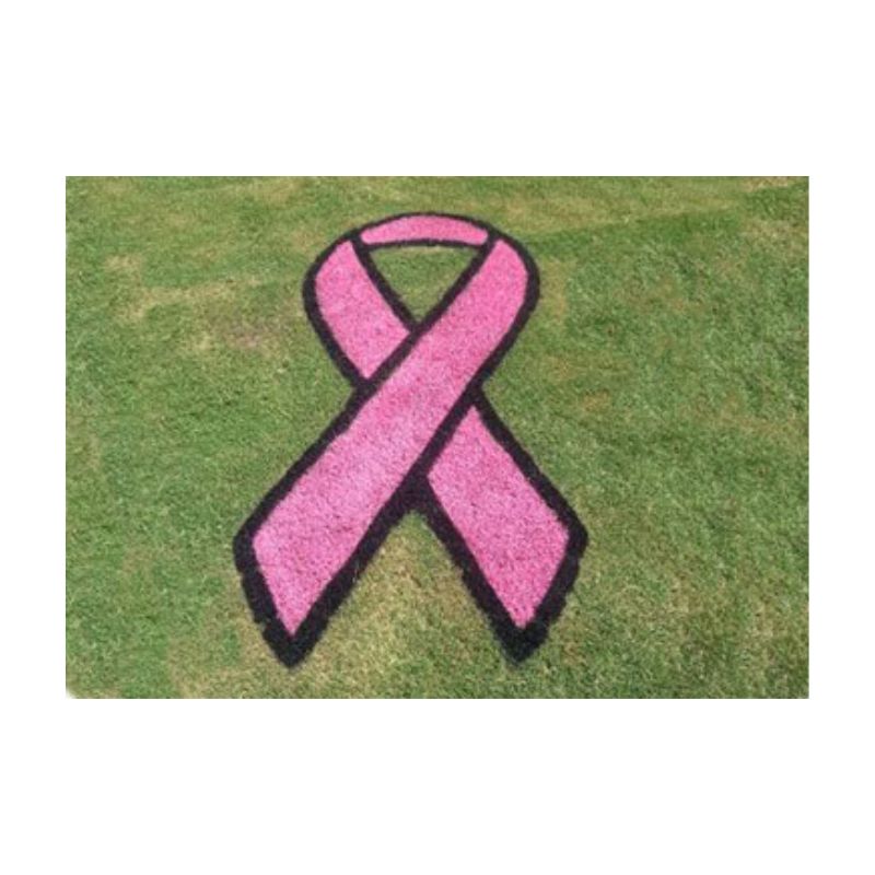 Pink black aerosol grass marking striping painting lining paint.