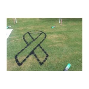 Black water based grass marking aerosol paint.