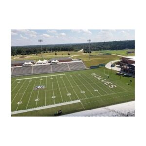 Green Grass Pigment Sprayed On Football Field.