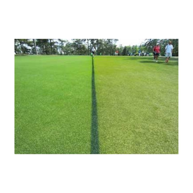 Custom color for golf course crowd control hazard out of bounds line marking.