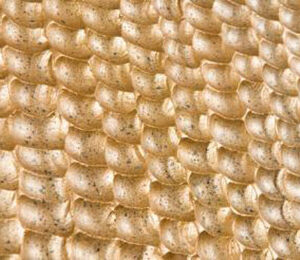 Woven Surface Texture Of Erosion Control Mat