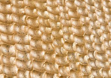 Woven Surface Texture Of Erosion Control Mat