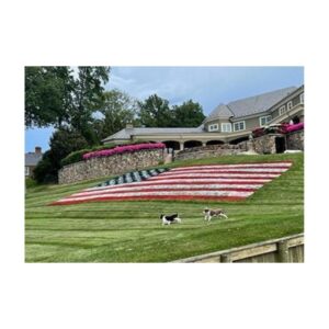 Aerosol Paint Can For Painting Logo Mascot Letter Stencils On Home Yard Lawn Grass.