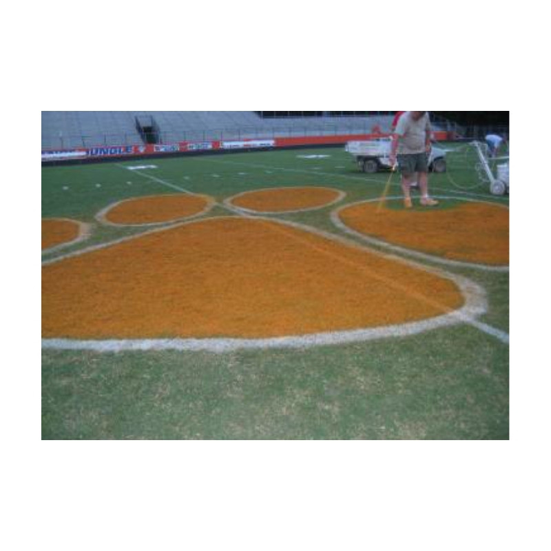 Football field logo painting affordable low price field paint.