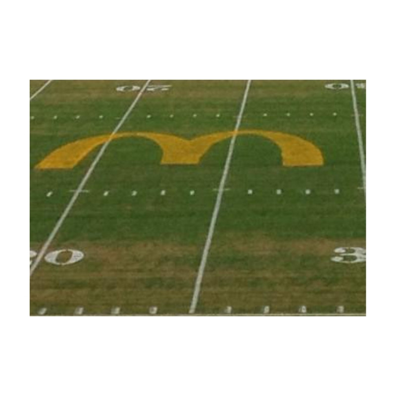 Low priced football field paint line striping logo painting.