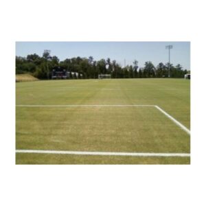 Ready to apply spray use bright white soccer field line marking paint.