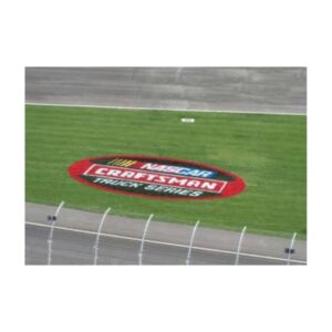 Grass field paint bright colors.