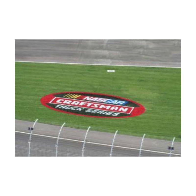 Grass field paint bright colors.