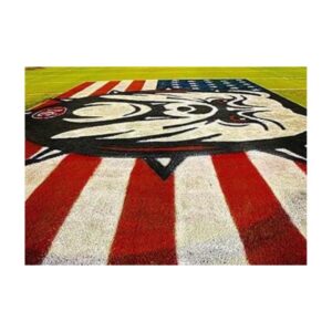 Field marking paint white colors