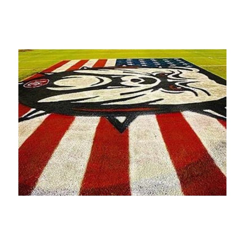 Field marking paint white colors