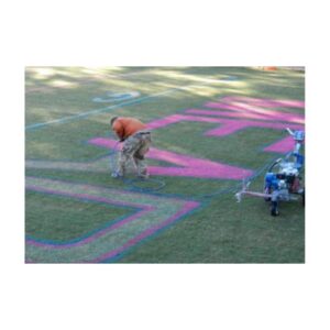 Painting pink blue end zone logo latex bulk grass paint.
