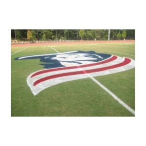 Logo painting football mid field logo bright paint.