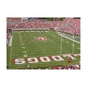 College mid field logo field paint painting.