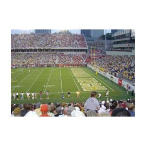 Athletic grass paint college football field bowl game.