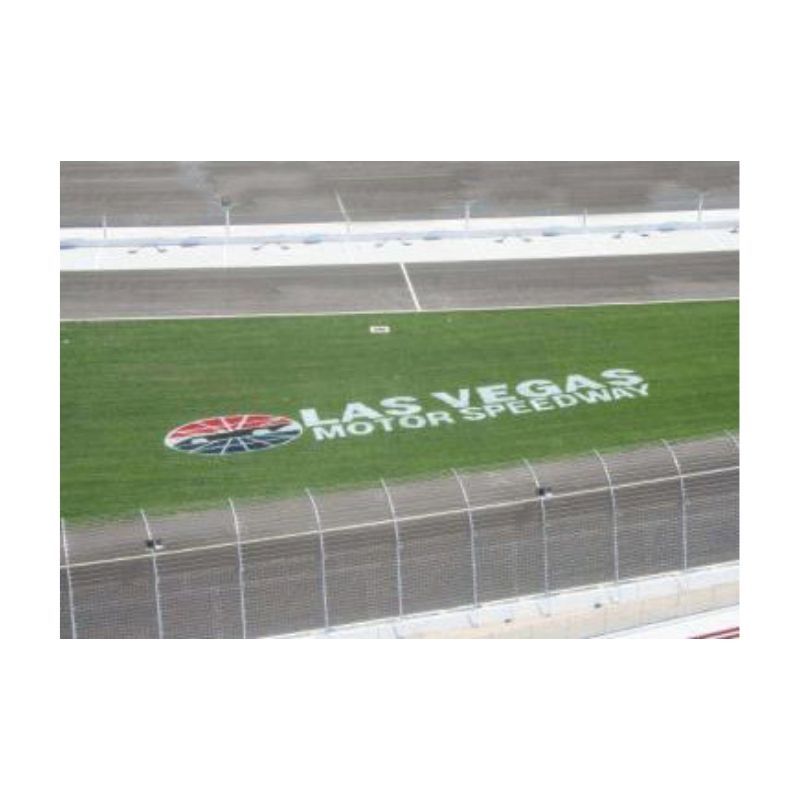 Bright field natural grass paint.