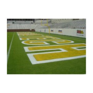 Top class football field marking paint endzone logo painting.