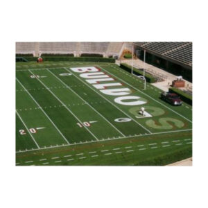 Bright durable extra bright football field endzone paint.