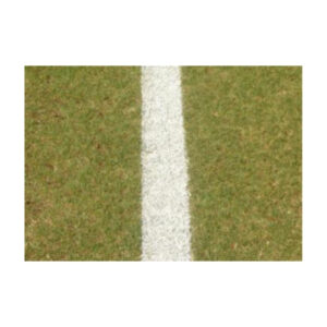 Close-Up Of A White Line Painted On Grass