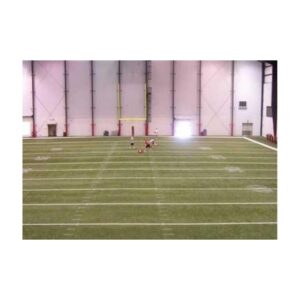 Stop Inhibit Growth Of Viruses Bacteria Odor Causing Bacteria On Indoor Outdoor Synthetic Turf Fields.