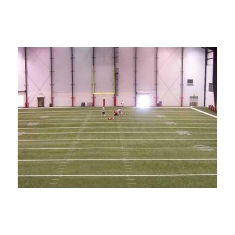 Stop Inhibit Growth Of Viruses Bacteria Odor Causing Bacteria On Indoor Outdoor Synthetic Turf Fields.