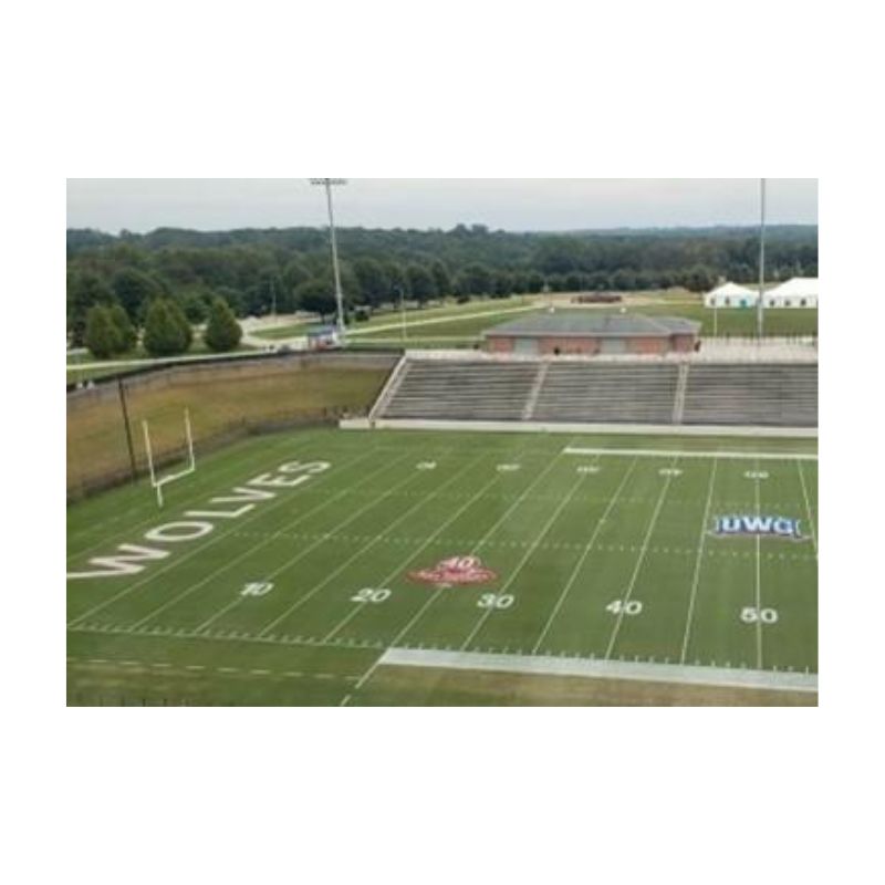 Colorant Dye Paint Green Grass Painting Natural Coloring