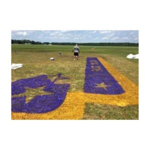 Close-Up Of A Painted Logo On A Grassy Field