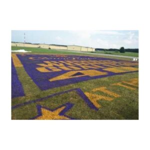 Large Purple And Gold Field Stencil For Corporate Branding