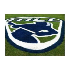 Large Sports Team Logo Stencil Painted On Green Field