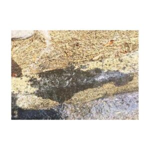 Saturate The Polymer Sand With Water To Start The Curing.