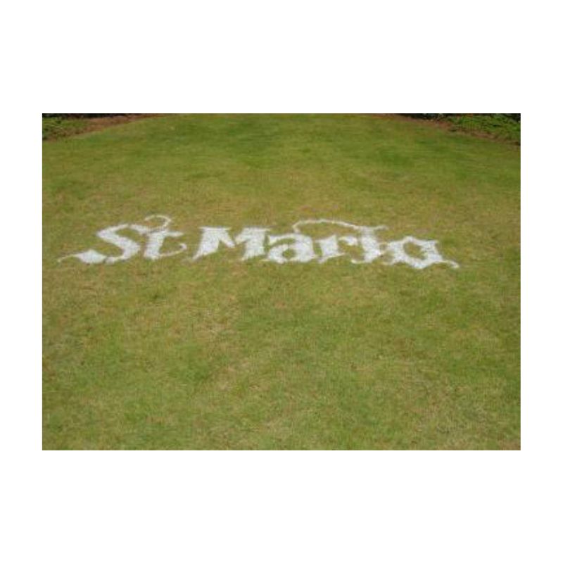 Water based aerosol marking paint without turning grass brown.