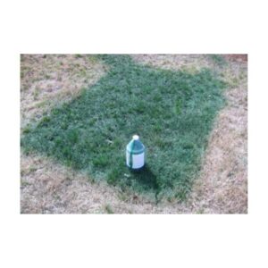 Gallon Green Grass Turf Dye Paint Home Yard Turf Grass Spray Application.