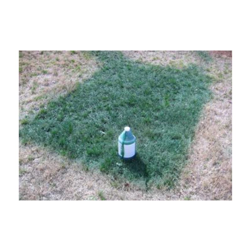 Gallon Green Grass Turf Dye Paint Home Yard Turf Grass Spray Application.