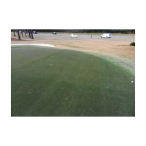 Green Golf Course Turf Dye Paint.
