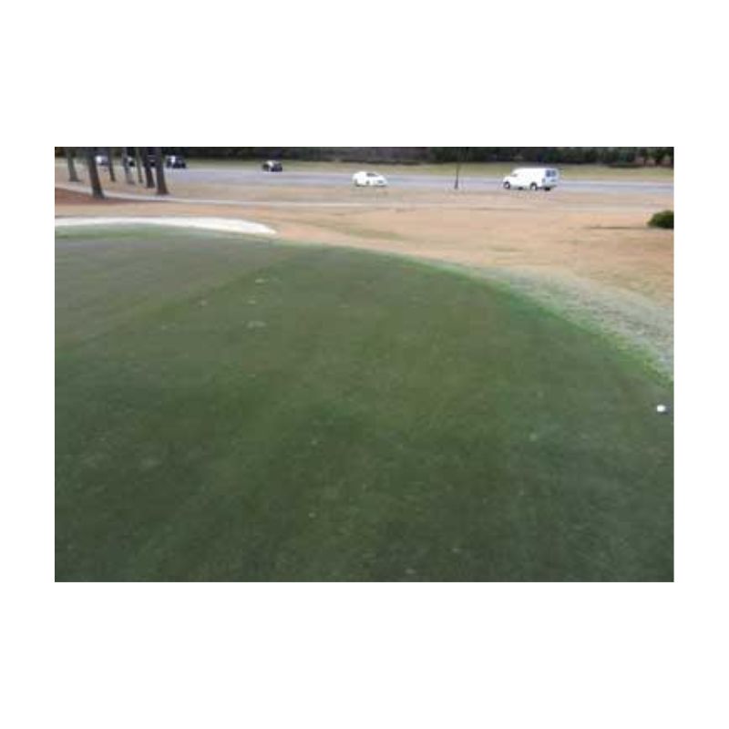 Green Golf Course Turf Dye Paint.