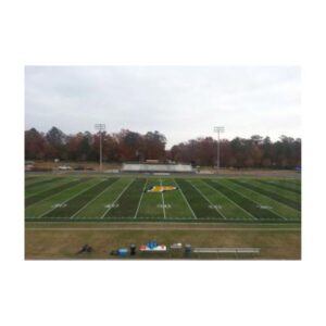 Green Grass Paint Dye.