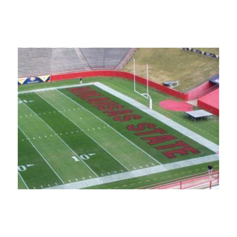 Green Grass Turf Dye College Bowl Football Field Painting.