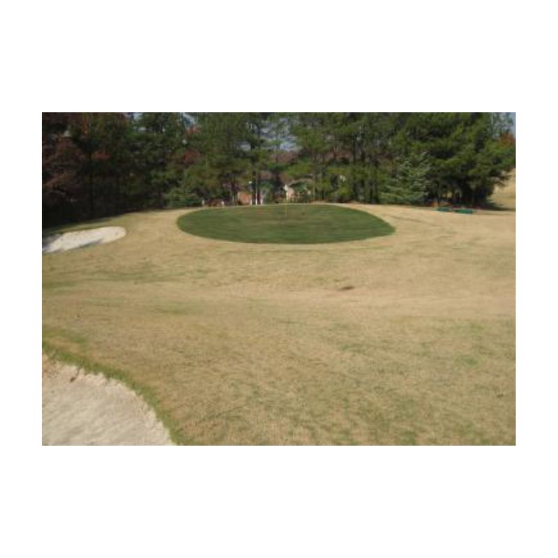 Green Paint Dye Golf Course Driving Range Grass.