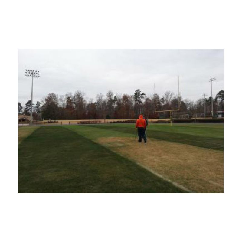 Green Shade Grass Dye For Brown Football Field Grass.