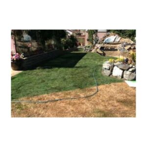 Green Tint Grass Dye Colorant Nortwestern Shade Paint For Brown Dromant Home Yard.