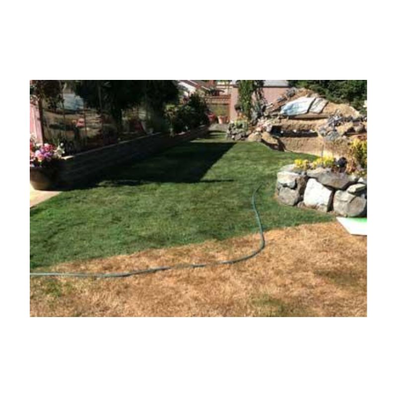 Green Tint Grass Dye Colorant Nortwestern Shade Paint For Brown Dromant Home Yard.